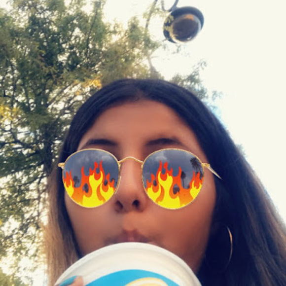 Meet your Posher, Kiwi - Picture 1 of 1